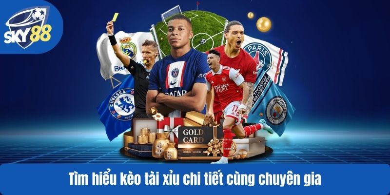 Tìm hiểu kèo tài xỉu chi tiết cùng chuyên gia