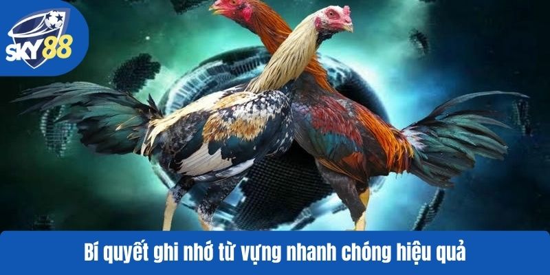 Bí quyết ghi nhớ từ vựng nhanh chóng hiệu quả